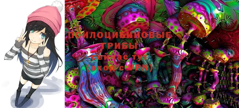 Псилоцибиновые грибы MAGIC MUSHROOMS  где купить наркоту  Верхотурье 